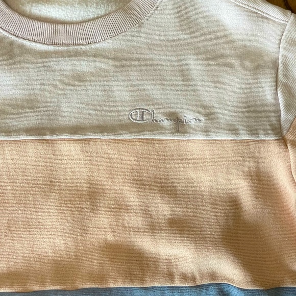 Urban Outfitters Champion Crew Neck Sweatshirt - Picture 9 of 12